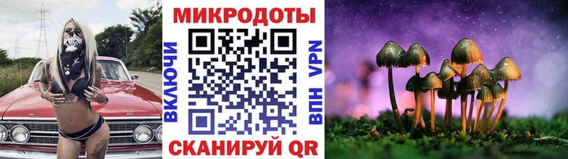 наркота  Боровск  Галлюциногенные грибы мицелий 